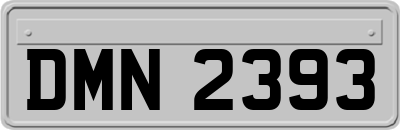 DMN2393
