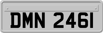 DMN2461