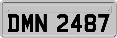 DMN2487