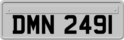 DMN2491