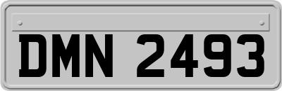 DMN2493