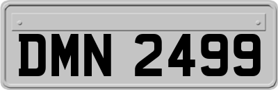 DMN2499