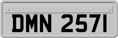 DMN2571