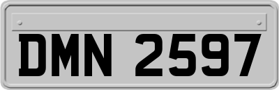 DMN2597