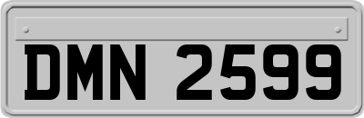 DMN2599
