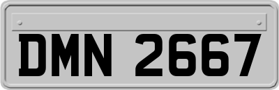 DMN2667