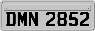 DMN2852