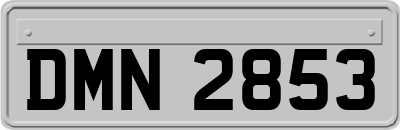 DMN2853