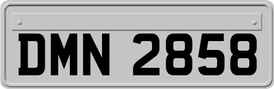DMN2858