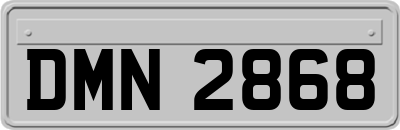 DMN2868