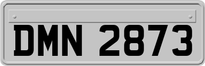 DMN2873