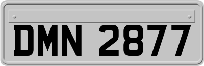 DMN2877