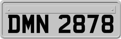 DMN2878