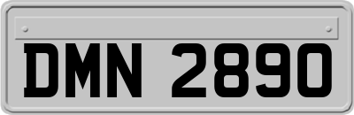 DMN2890