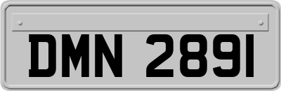 DMN2891