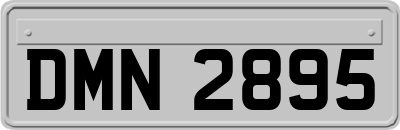 DMN2895