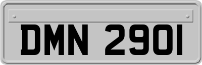 DMN2901
