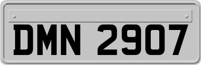 DMN2907