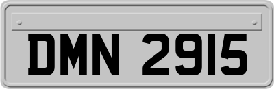 DMN2915