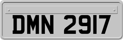 DMN2917