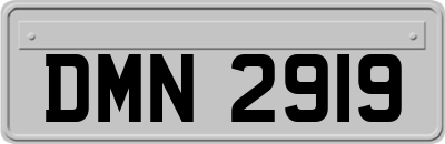 DMN2919