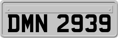 DMN2939
