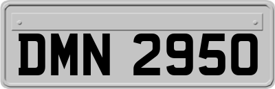 DMN2950