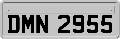 DMN2955