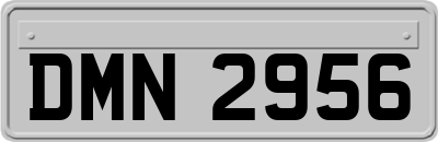 DMN2956