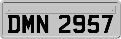 DMN2957