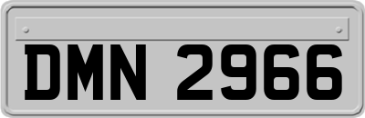 DMN2966