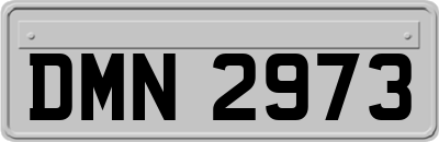 DMN2973