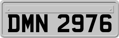 DMN2976