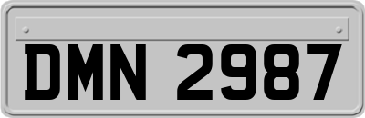 DMN2987