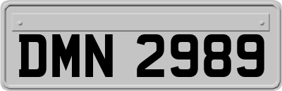 DMN2989