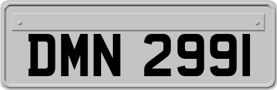 DMN2991