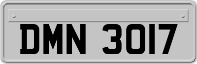 DMN3017