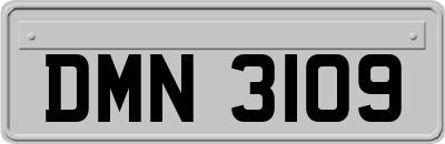 DMN3109