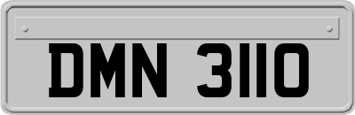 DMN3110