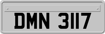 DMN3117