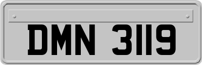DMN3119