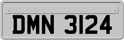 DMN3124