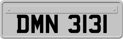 DMN3131