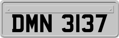 DMN3137