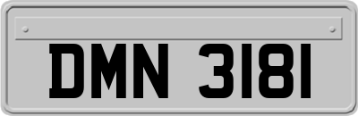 DMN3181