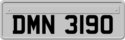 DMN3190