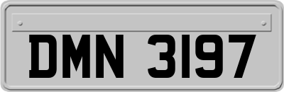DMN3197