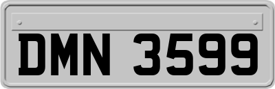 DMN3599