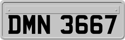 DMN3667