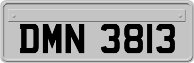 DMN3813